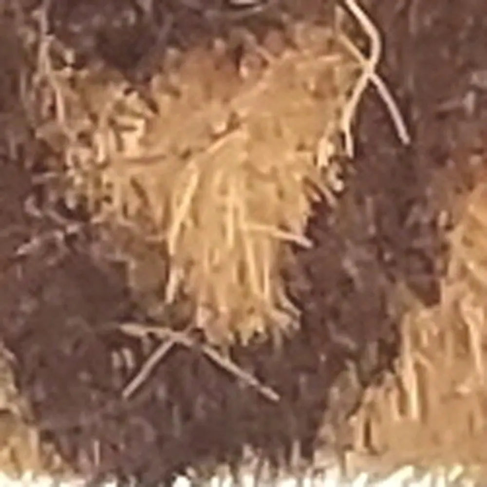 18" X 30" Brown Coir Floral Outdoor Door Mat - NOBLE HOME INTERIORS