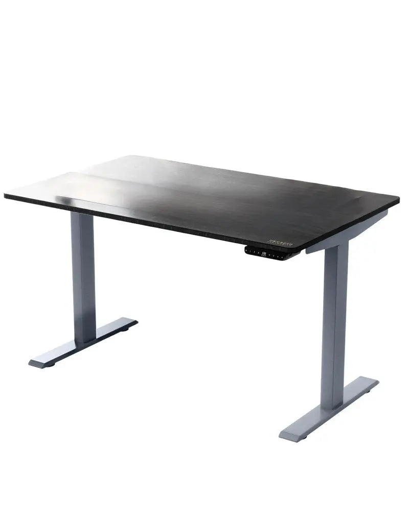 30" Adjustable Black and Gray Stainless Steel Computer Desk - NOBLE HOME INTERIORS
