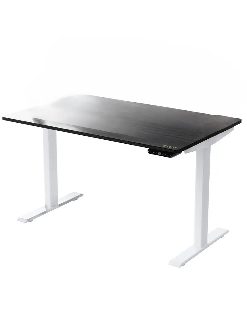 30" Adjustable Black and White Stainless Steel Computer Desk - NOBLE HOME INTERIORS