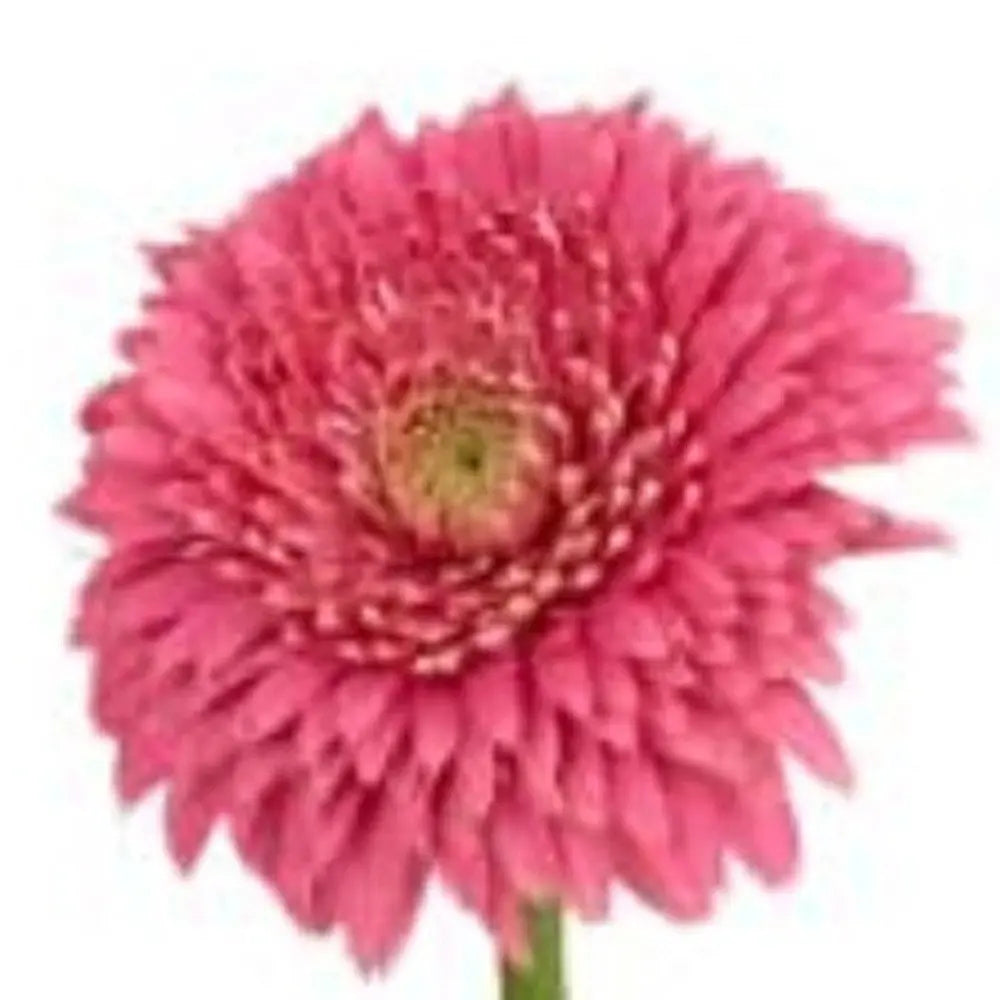 6" Clear Square Crystal Glass Table Vase HomeRoots