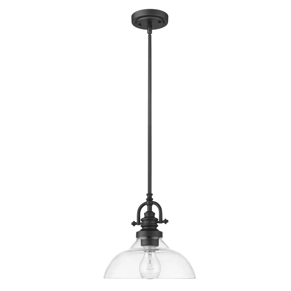 Matte Black Hanging Light with Glass Dome Shade HomeRoots