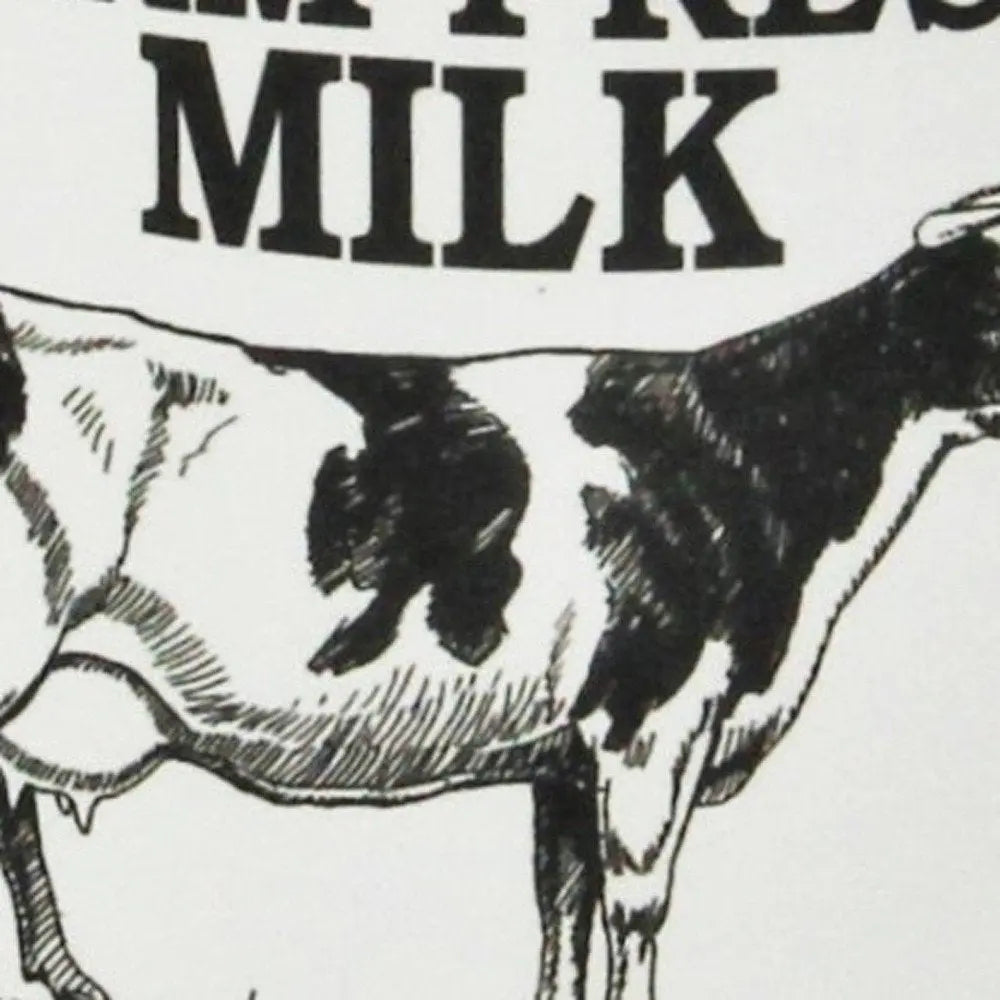 8" Black And White Metal Jug Vase HomeRoots