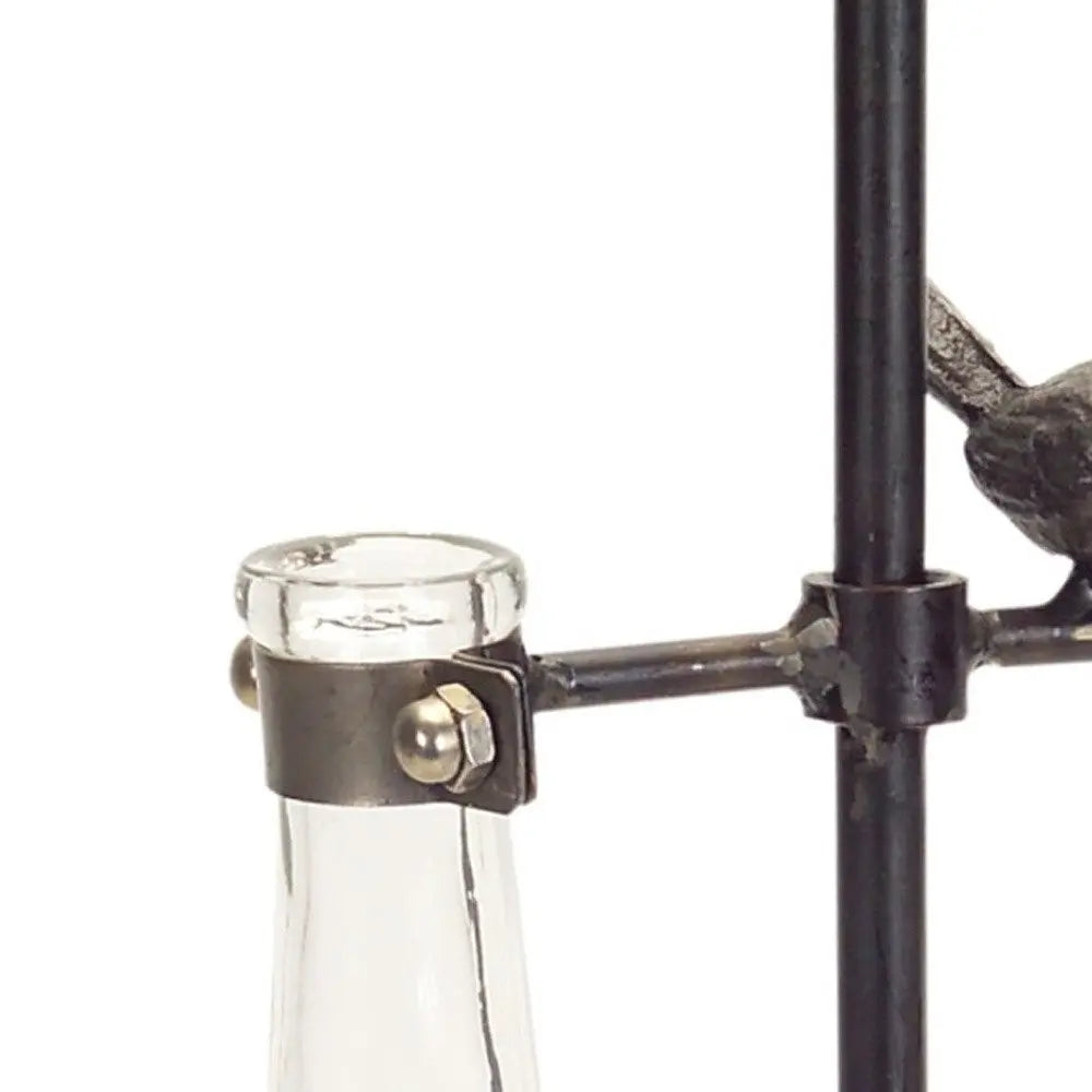 Set of Two Clear and Black Metal and Glass Apothecary Jar HomeRoots