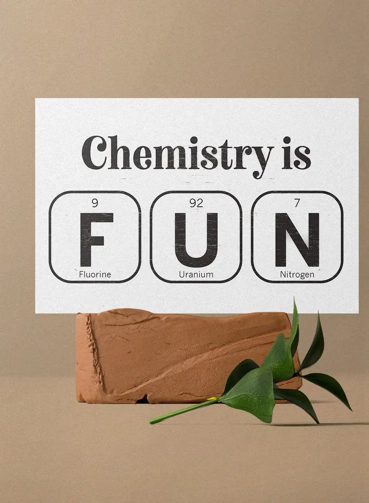 12" X 12" White And Black Chemistry is FUN: Fluorine, Uranium & Nitrogen Wood Wall Decor HomeRoots
