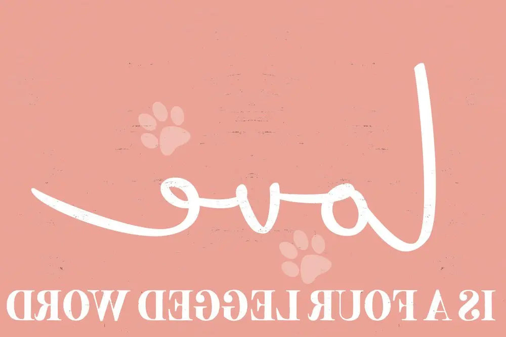 12" X 12" Pink And White Love Is A Four Legged Word Canvas Wall Decor HomeRoots
