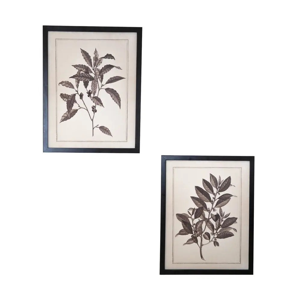 Set of Two Black And White Flower Canvas Square Framed Art HomeRoots