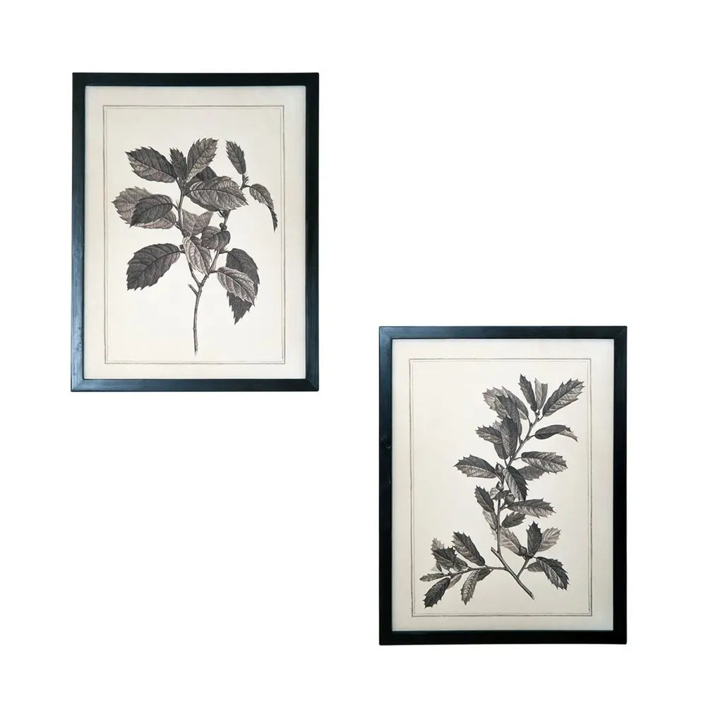 Set of Two Black And White Flower Canvas Square Framed Art HomeRoots