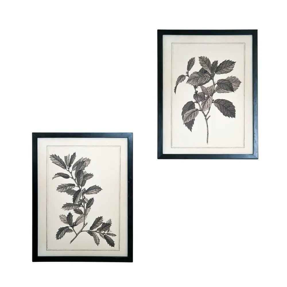 Set of Two Black And White Flower Canvas Square Framed Art HomeRoots