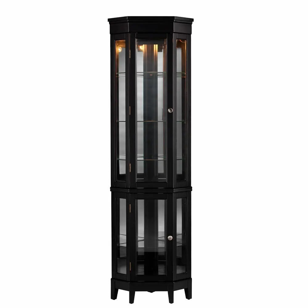 Elegant Black Lighted Curio Cabinet - NOVA HOME FURNITURE