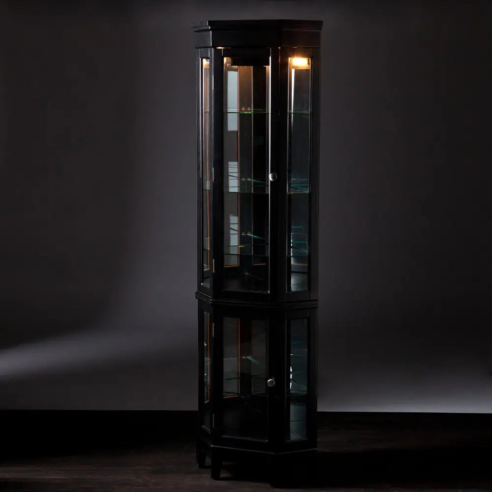 Elegant Black Lighted Curio Cabinet - NOVA HOME FURNITURE