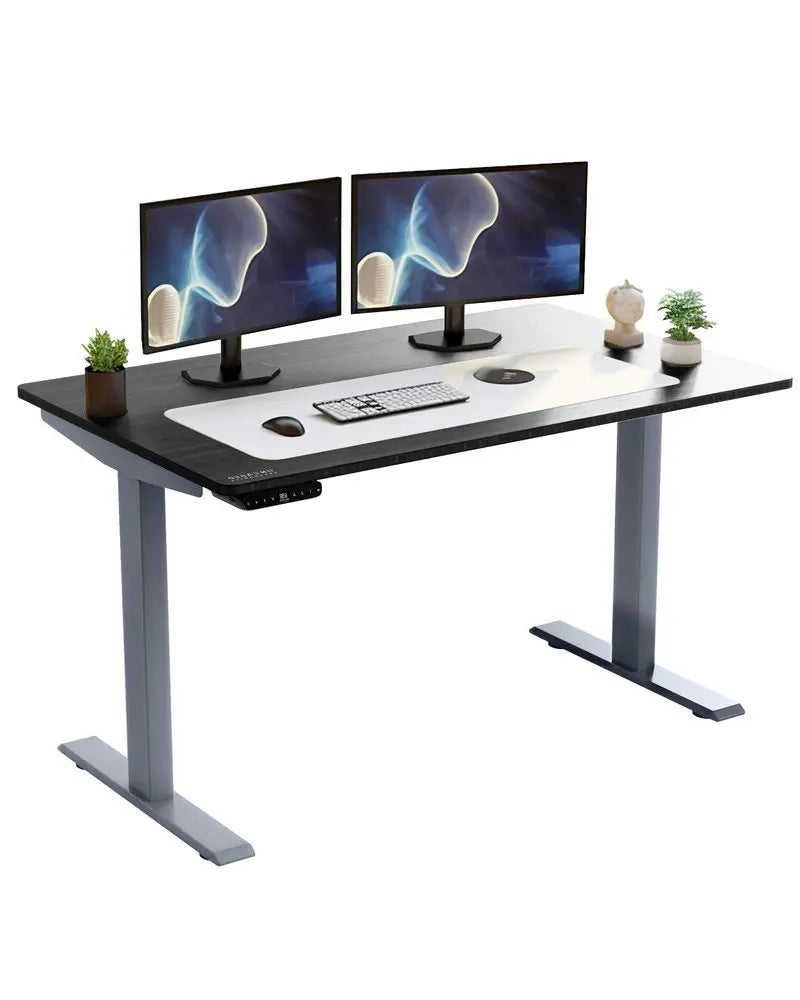 Gray and Black 52" Bamboo Dual Motor Electric Office Adjustable Computer Desk - NOBLE HOME INTERIORS